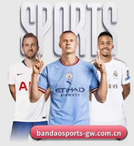 关于我们 - 体育资讯内容服务 - BandaoSports